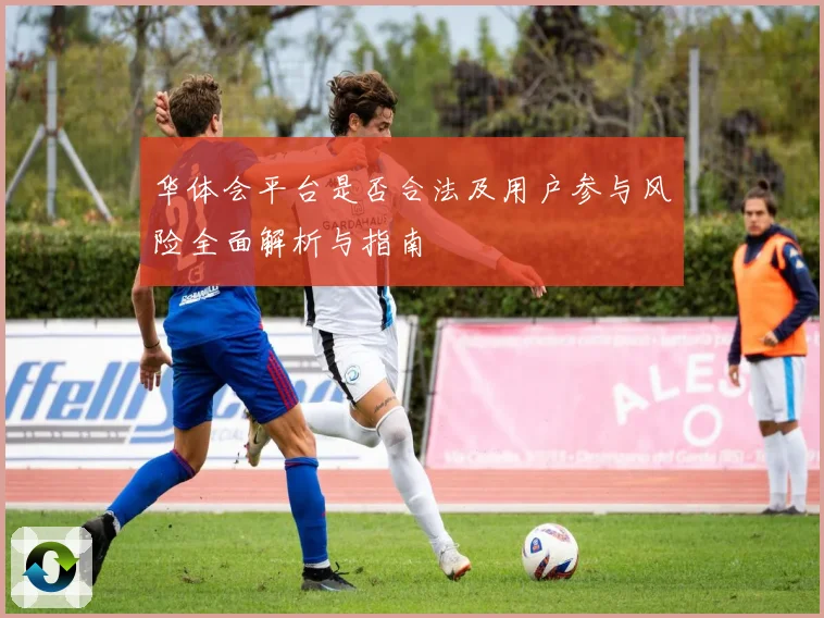 华体会平台是否合法及用户参与风险全面解析与指南