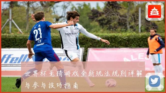 世界杯竞猜游戏全新玩法规则详解与参与技巧指南
