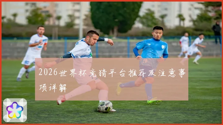2026世界杯竞猜平台推荐及注意事项详解