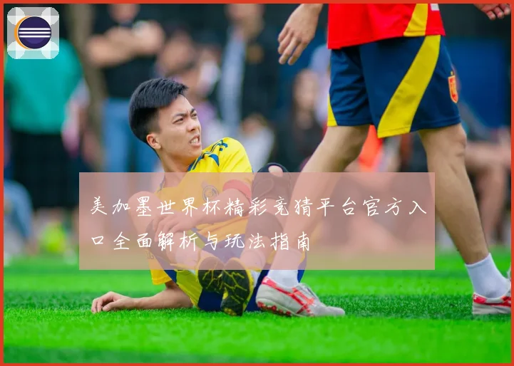 美加墨世界杯精彩竞猜平台官方入口全面解析与玩法指南