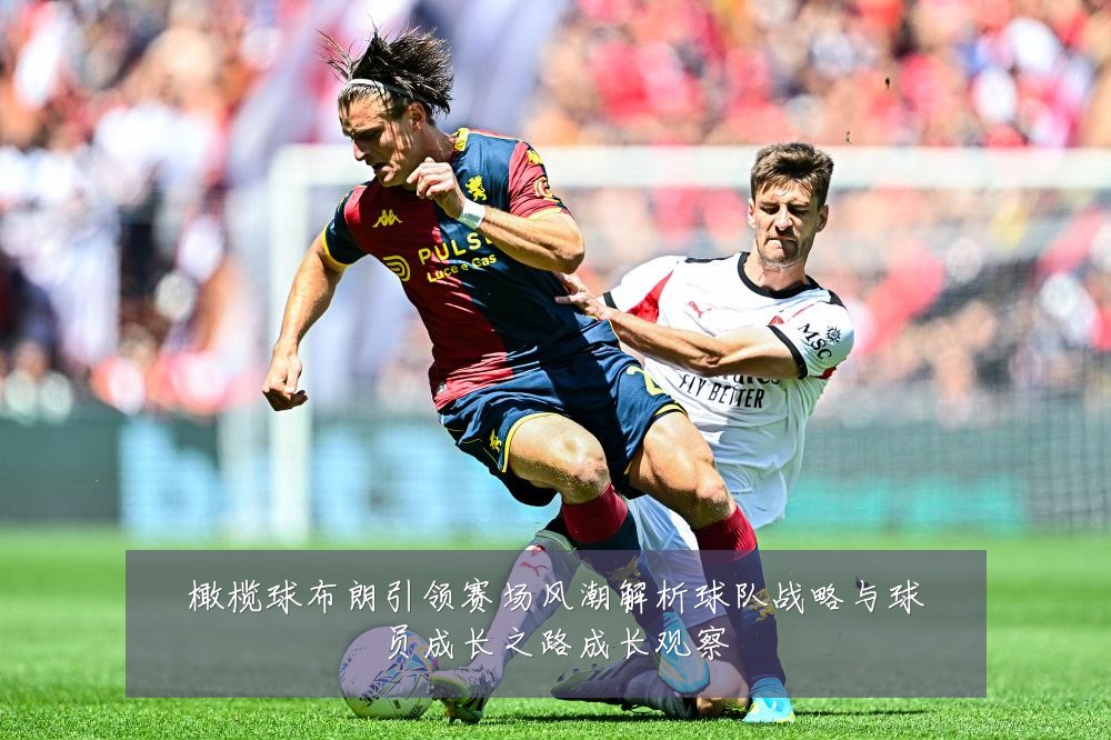 橄榄球布朗引领赛场风潮解析球队战略与球员成长之路成长观察